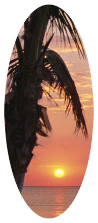 (Sunset) Footprints